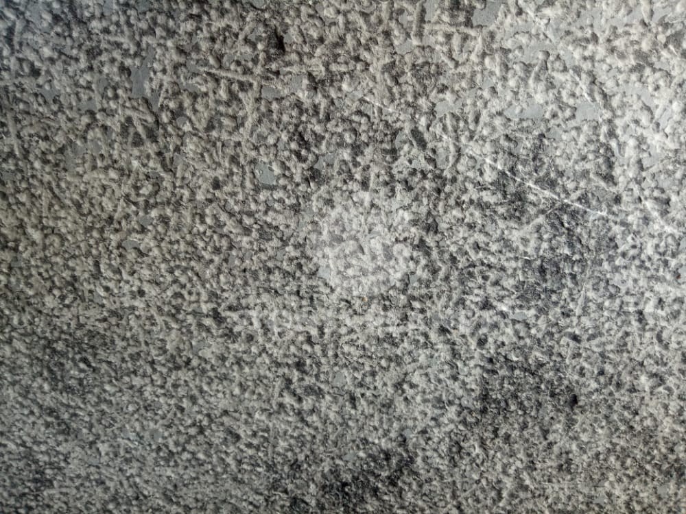 milly grey